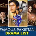 Famous Pakistani Drama List